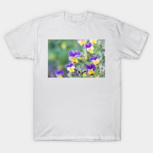 Pretty Little Purple and Yellow Pansies Springtime T-Shirt